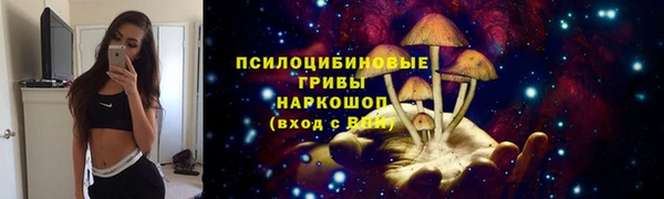 соль ск Армянск
