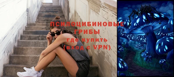 молекула духа Апатиты