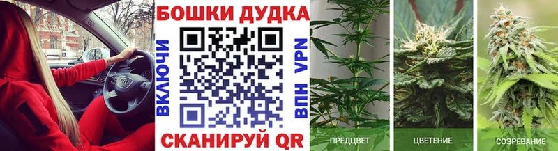 Конопля THC 21%  Барыш 